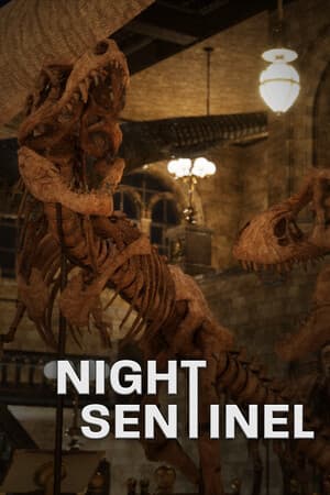 Night Sentinel