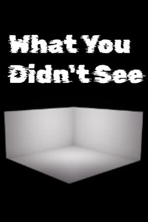 What You Didn't See