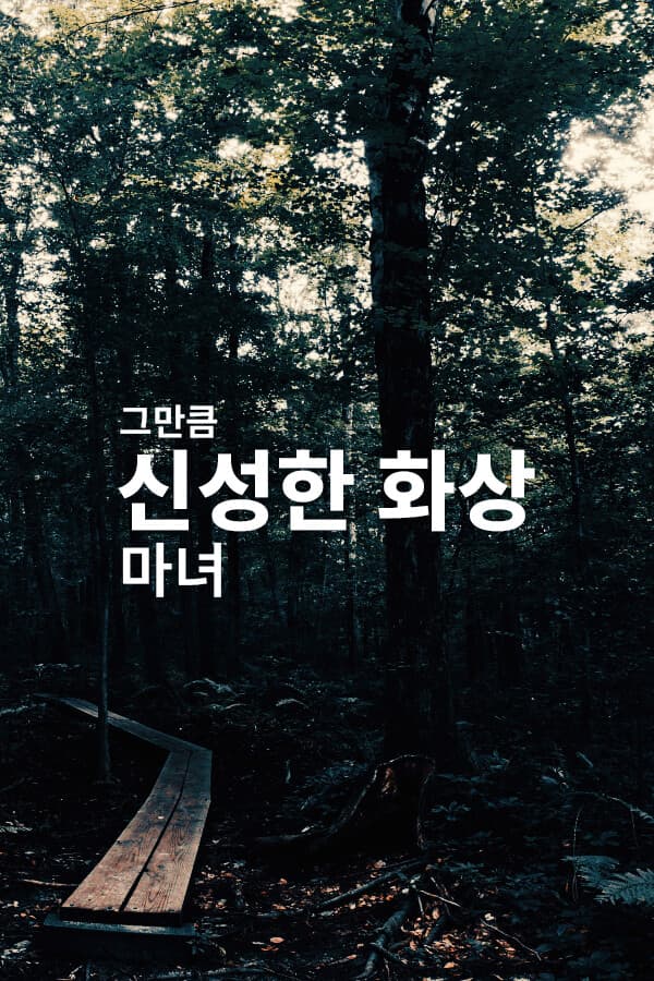 The Holyburn Witches