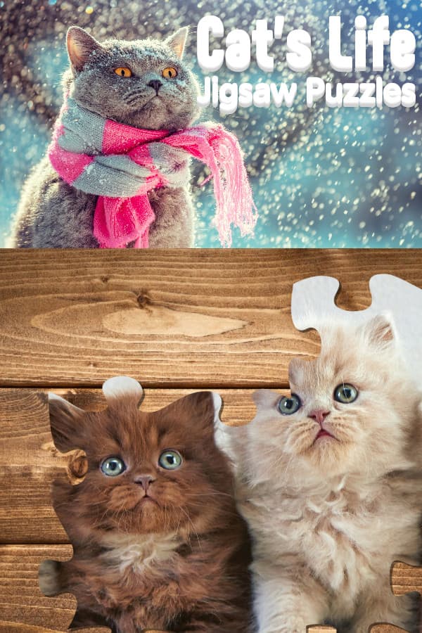 Cat's Life Jigsaw Puzzles