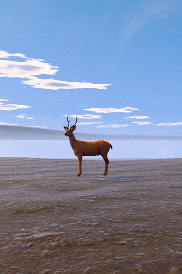 Live Cam Simulator
