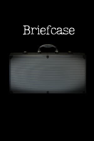 Briefcase 