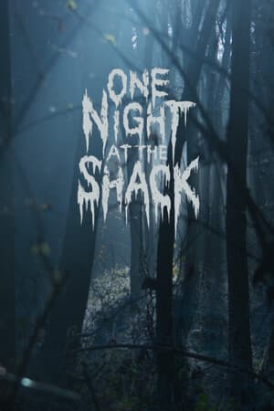 One Night At The Shack