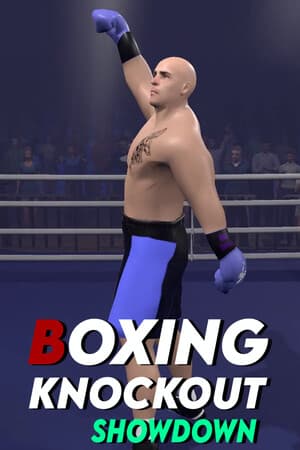 Boxing Knockout Showdown
