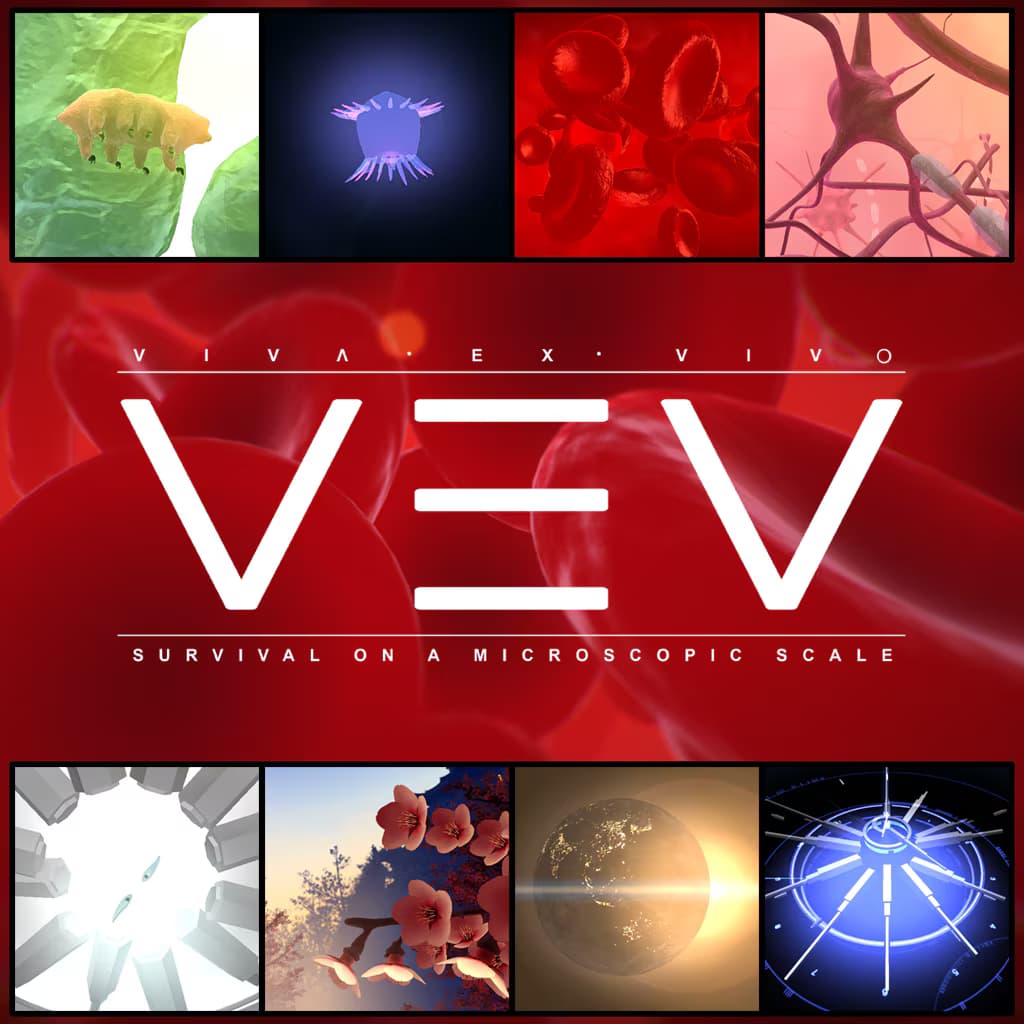 VEV: Viva Ex Vivo VR Edition