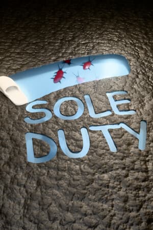 Sole Duty