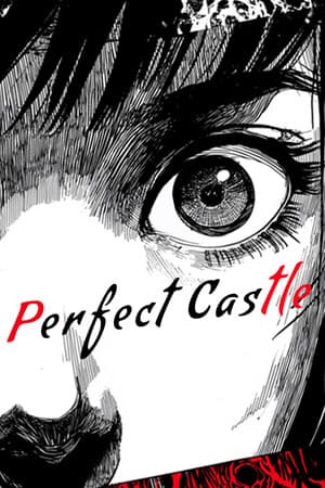 Perfect Castle