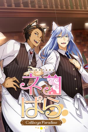 NEKOPARA - Catboys Paradise