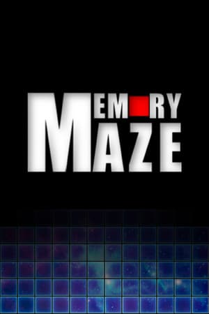 Memory Maze