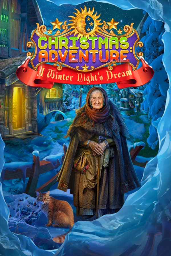 Christmas Adventures: A Winter Night's Dream