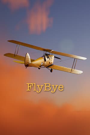 FlyBye