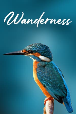 Wanderness