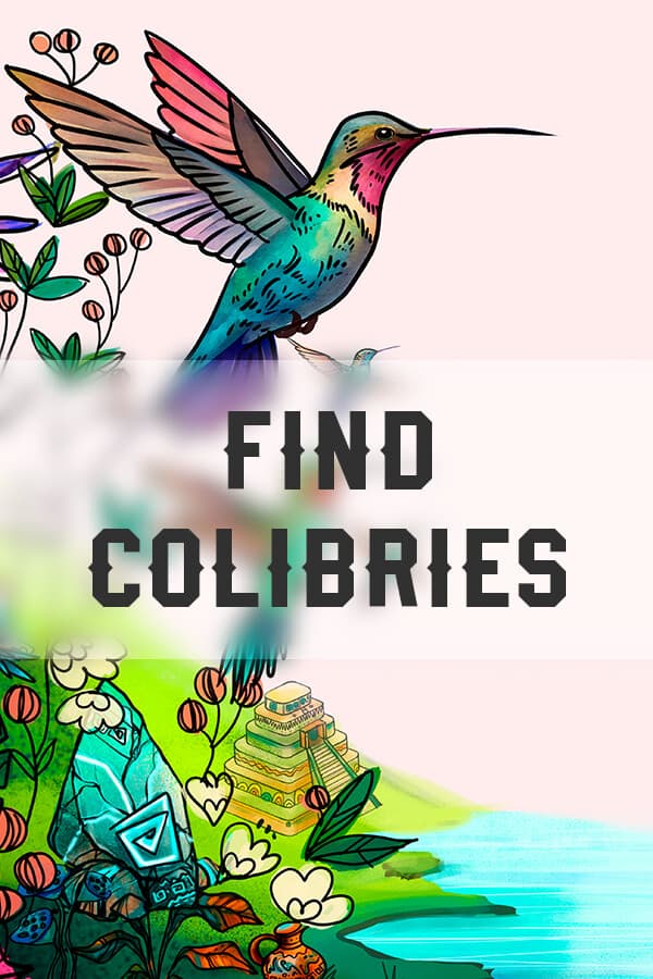 Find Colibries