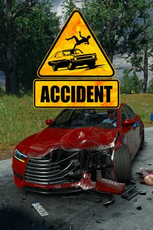Accident: The Pilot