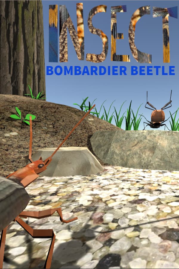 Insect: Bombardier beetle