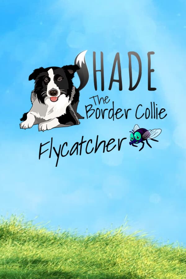 SHADE The Border Collie Flycatcher