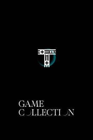 Triennale Game Collection 2