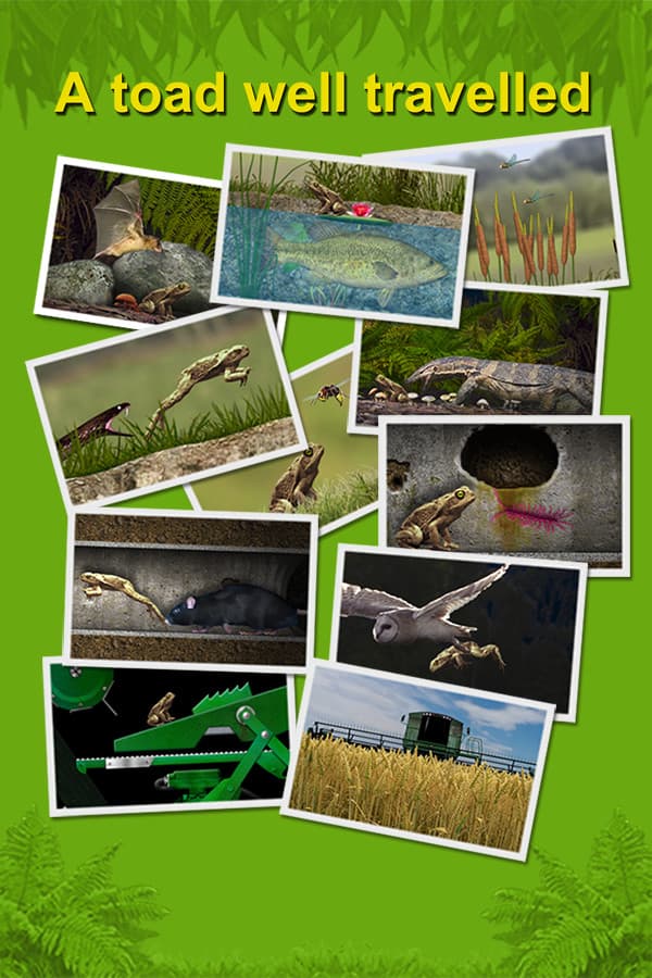 A toad well travelled