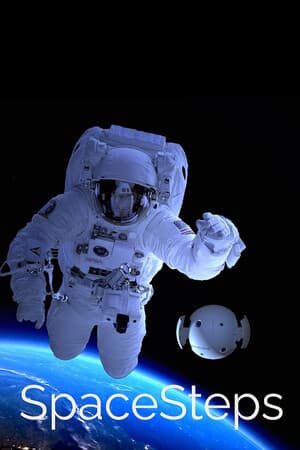 SpaceSteps