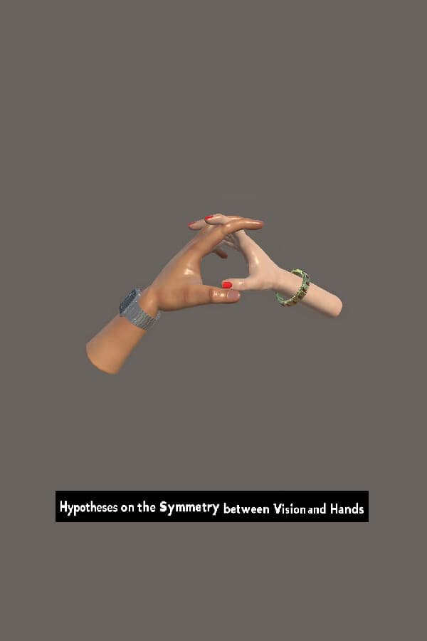 Hypotheses on the Symmetry between Vision and Hands