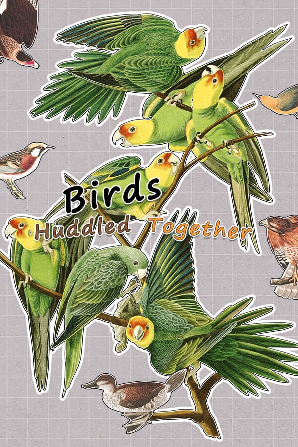 Birds Huddled Together