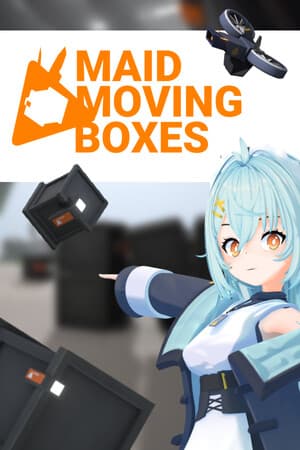 MAID MOVING BOXES