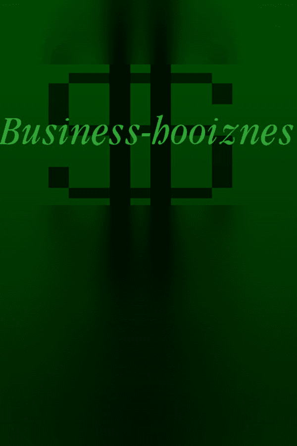 Business-hooiznes