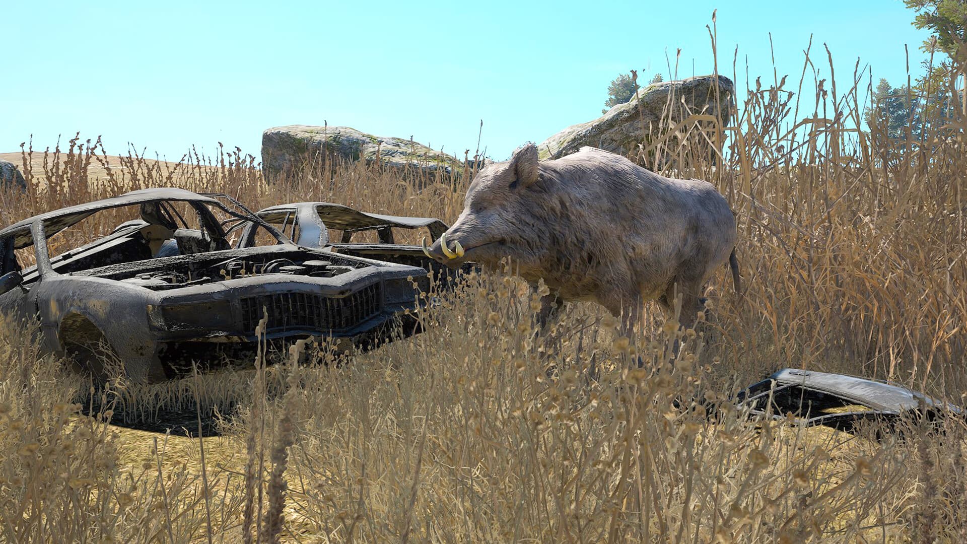 Game Image