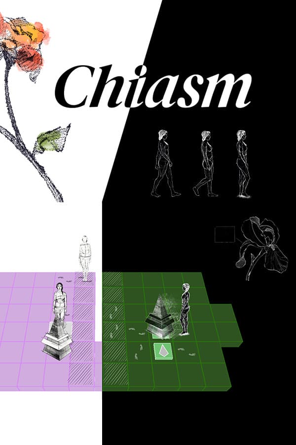 Chiasm
