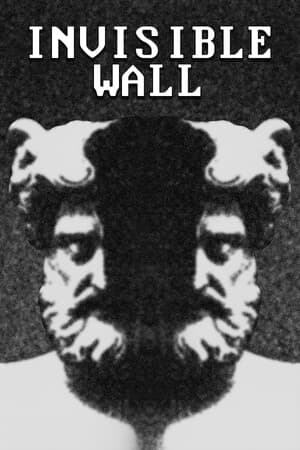 Invisible Wall