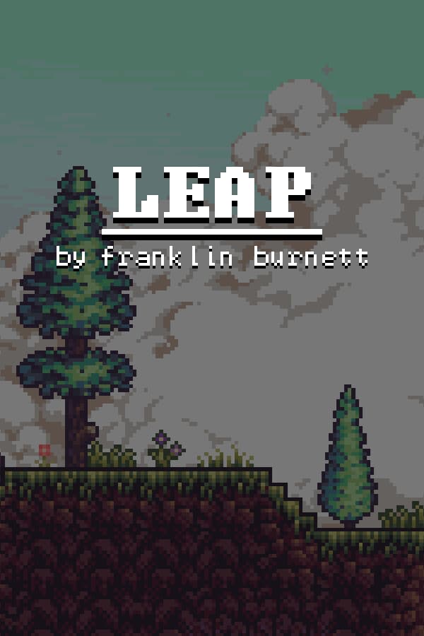 Leap by Franklin Burnett