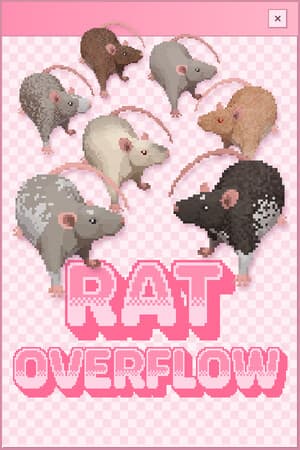 Rat Overflow