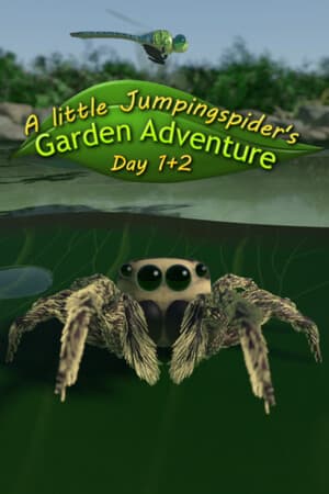 A little Jumpingspider's Garden Adventure (Day 1+2)