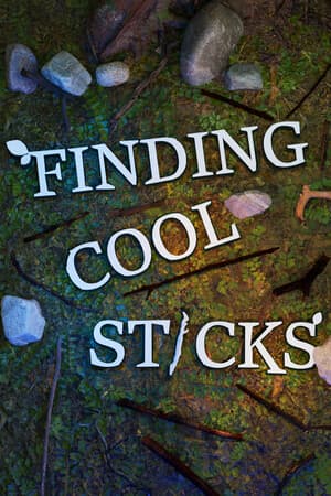 Finding Cool Sticks