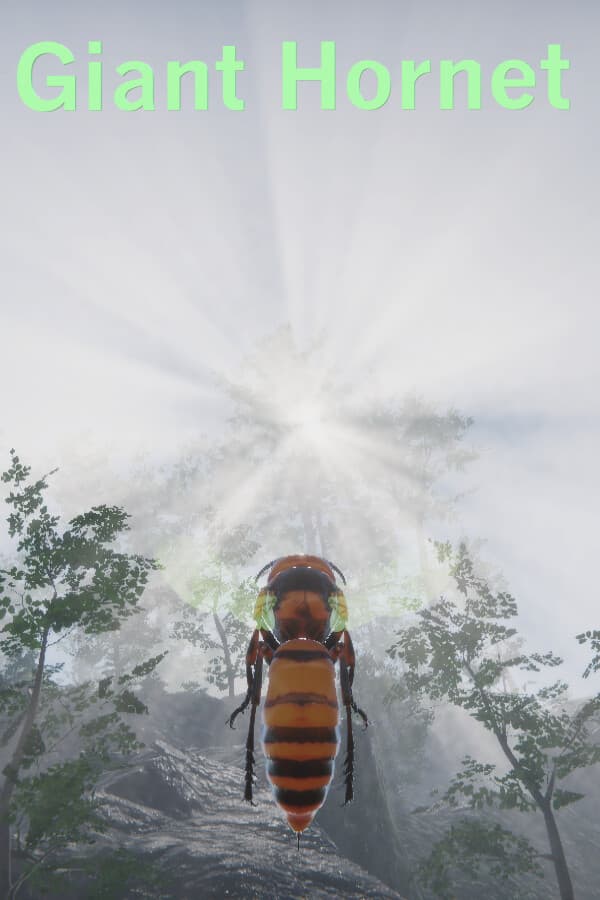 Giant Hornet