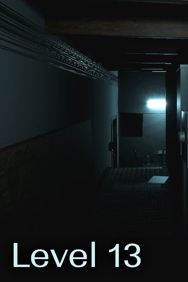 Level 13