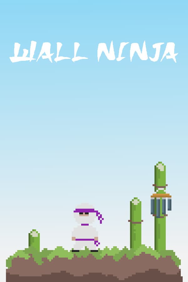 Wall Ninja