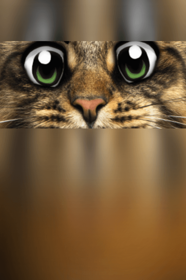 Super Web Kittens: Act I