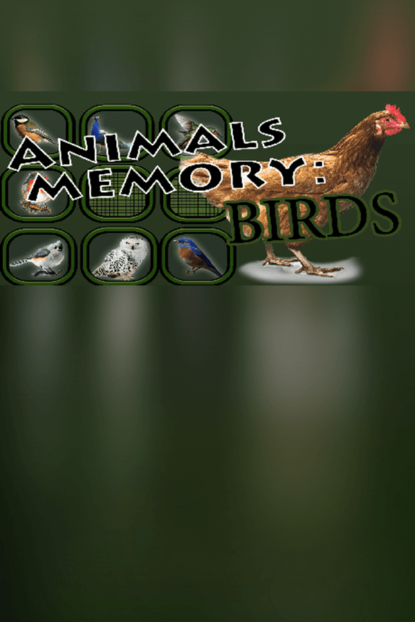 Animals Memory: Birds