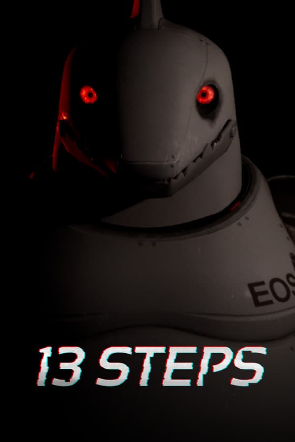 13 Steps