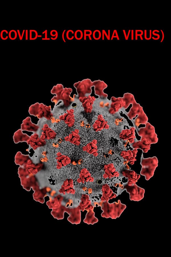 COVID-19 (CORONA VIRUS)