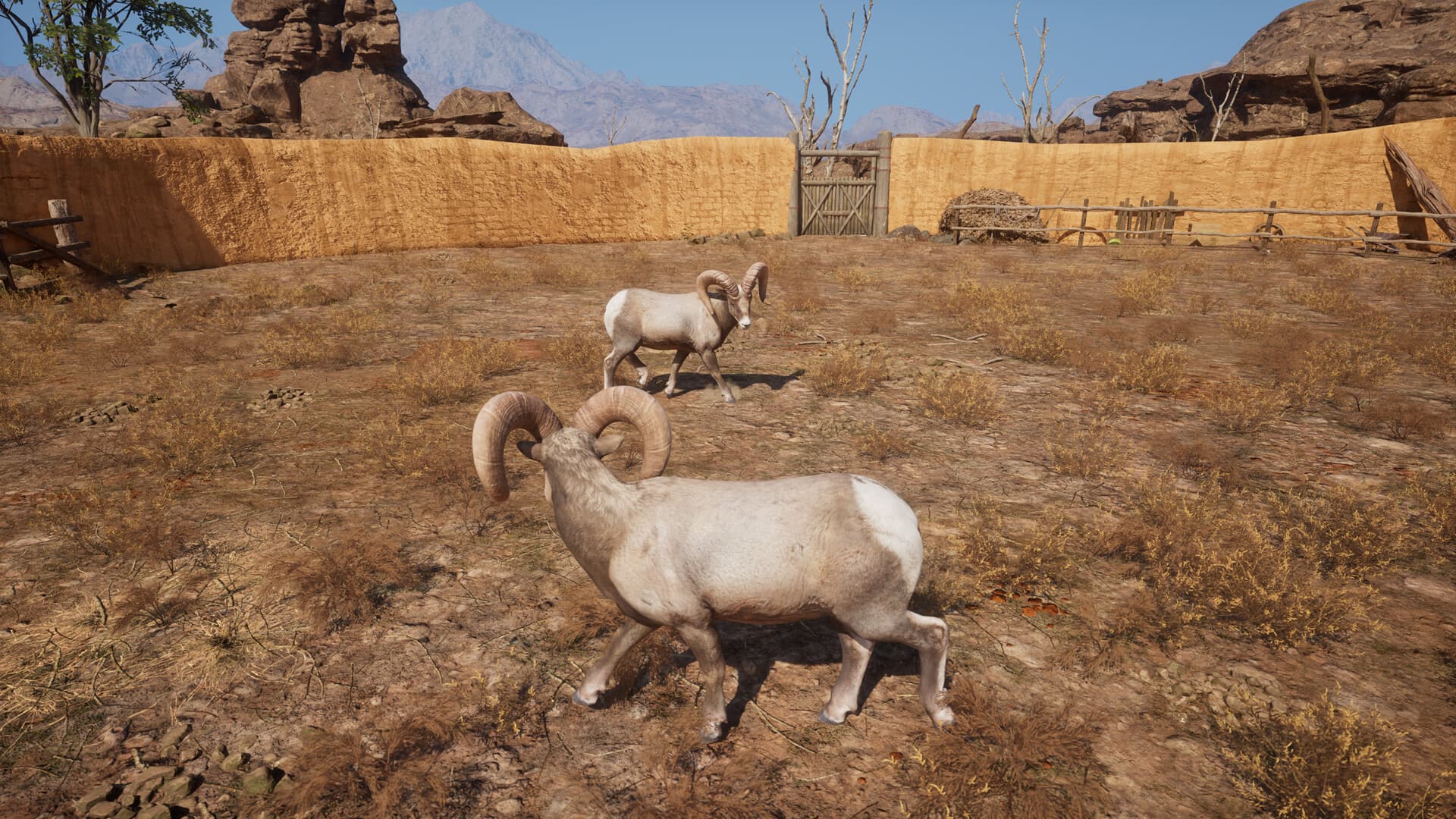 Game Image