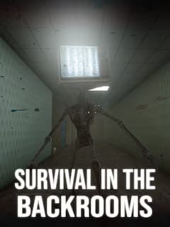 Survival In The Backrooms