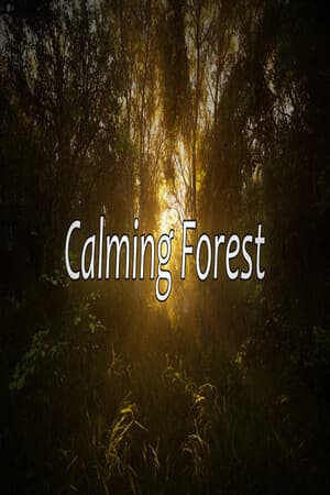 Calming Forest
