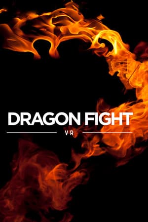 Dragon Fight VR