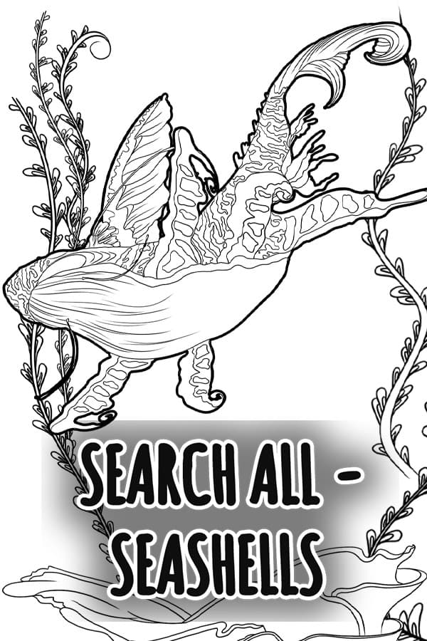 SEARCH ALL - SEASHELLS
