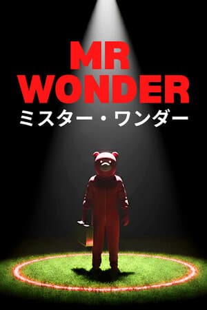Mr Wonder
