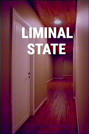 LIMINAL STATE