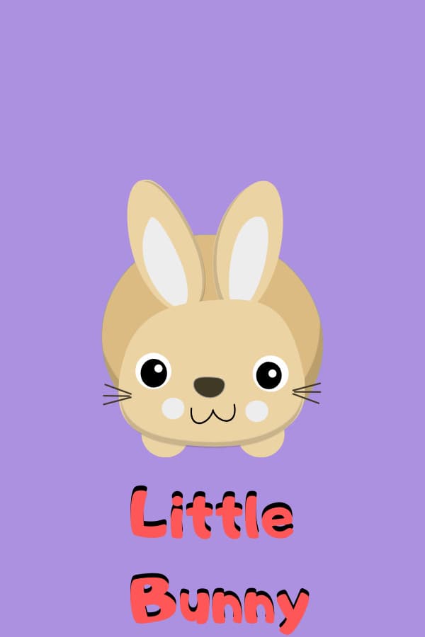 Little Bunny