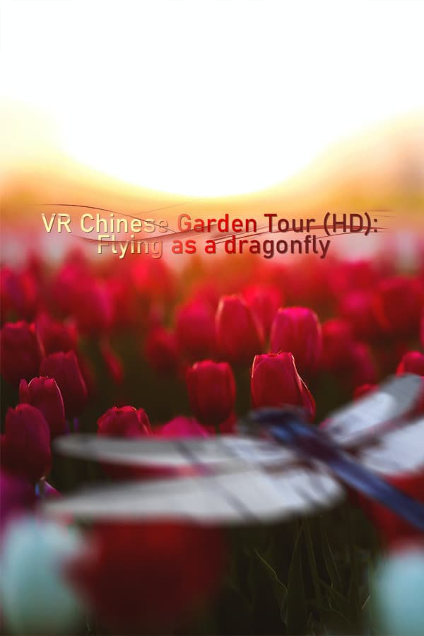 VR Chinese Garden Tour (HD): Flying as a dragonfly